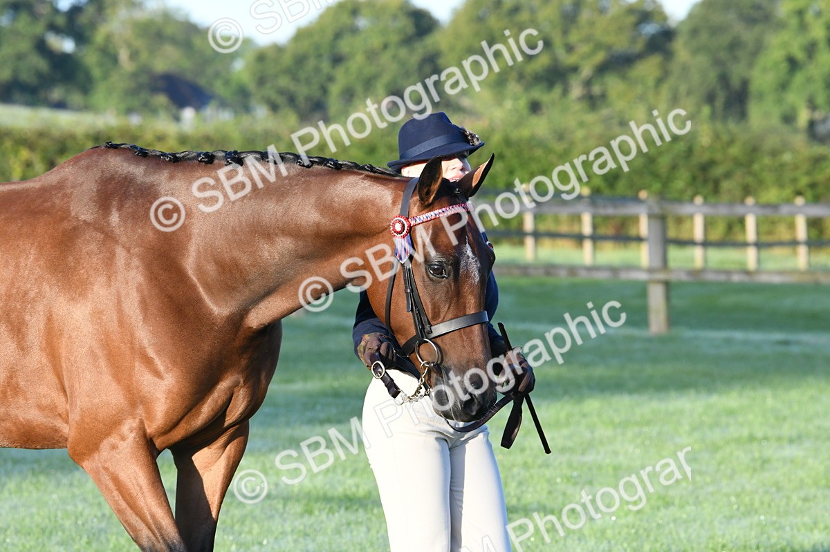 SBM_32475 - S15 - Condition & Turnout In Hand