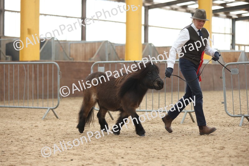 20251109-0436 - Championship