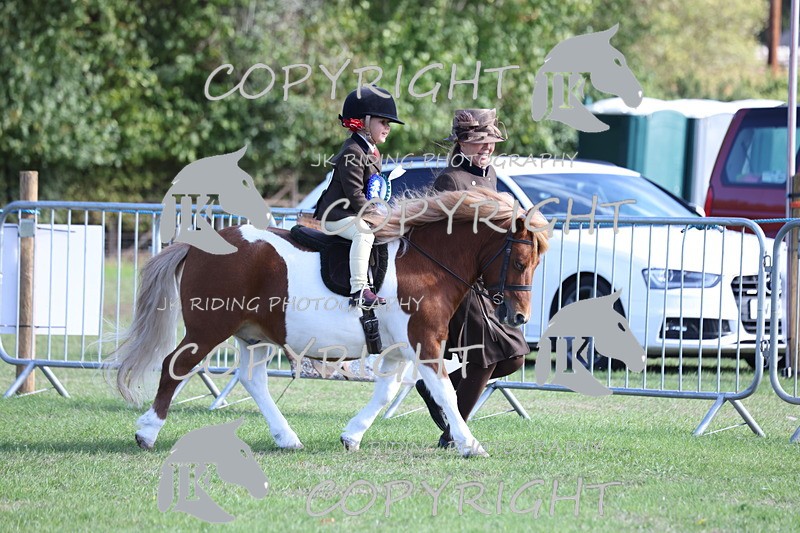 APP_3953 - Class 13 Lead rein