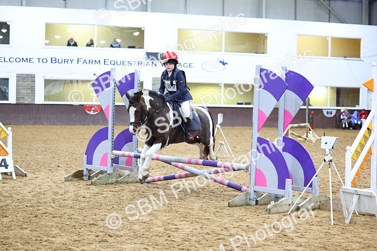 SBM_001223 - Class 3 - Christmas Tree Stakes - 60cm