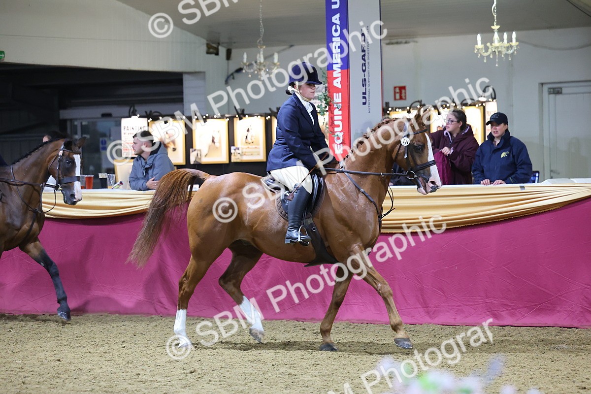 0B8A4594 - Class Q Style & Performance Champ