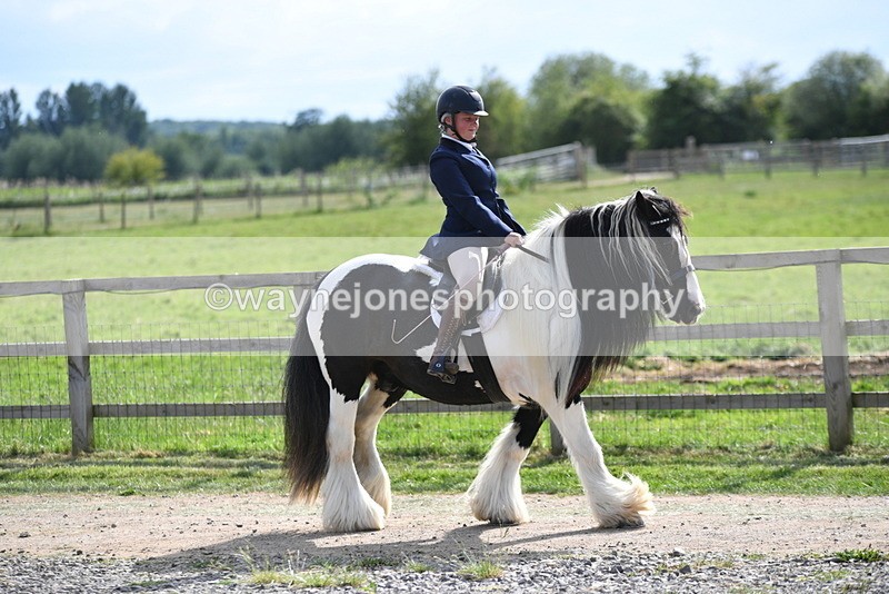 WJ5_7940 - Time 16:56 to 17:14