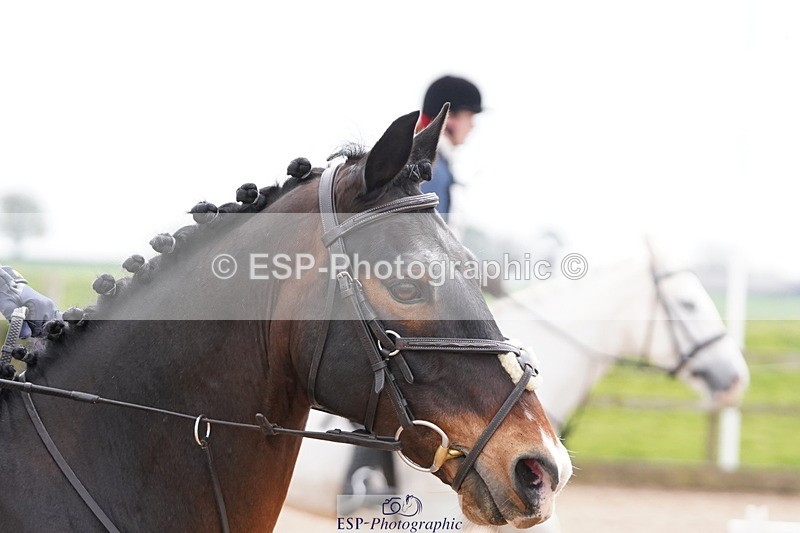 250419-140134-11145 - 607-Florence.Caswell-HOLNEST.FRODO.BAGGINS