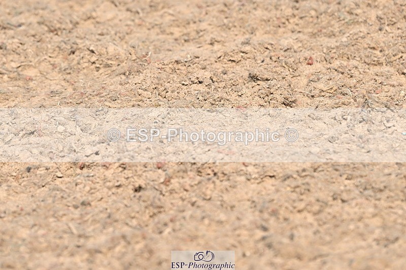 240509A-102533-00861 - Cls 8 Foxhunter