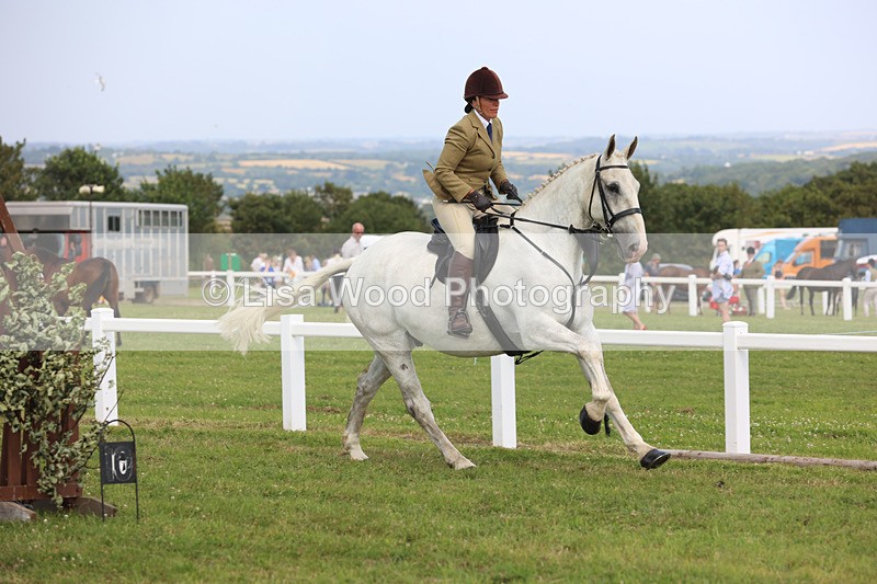 JPP_3847 - Class 23: Working Hunter 80cm