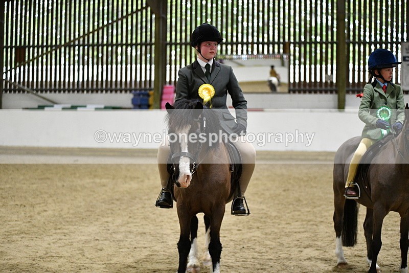 WJ5_7373 - Class 11 Ridden PC - RC Pony