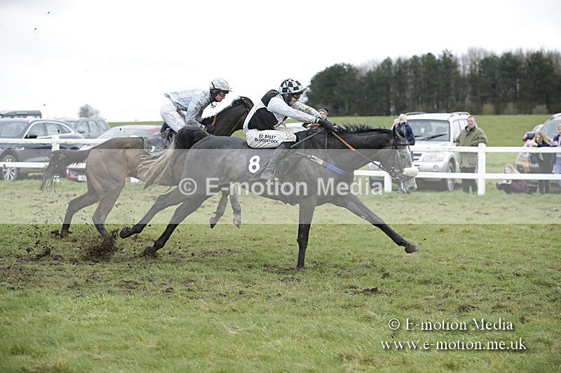 PtP 150320 0510 - New Forest Point-to-Point Larkhill 15/03/20