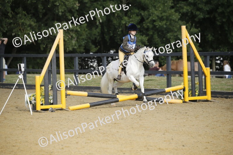 20250622-1209 - 40cm