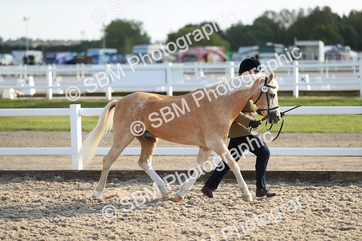 SBM_08937 - Class 29 IH Veteran Pony