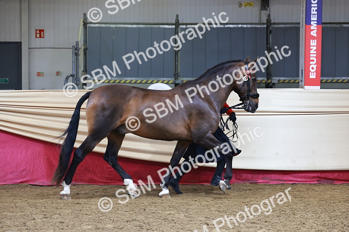 SBM_22276 - Class 902 - Supreme Final - IH Diamond