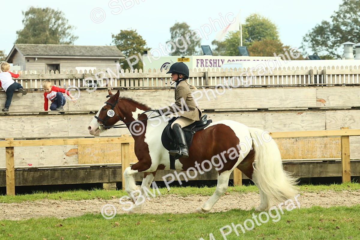 SBM_68242 - S58 - Mini Show Cob Ridden