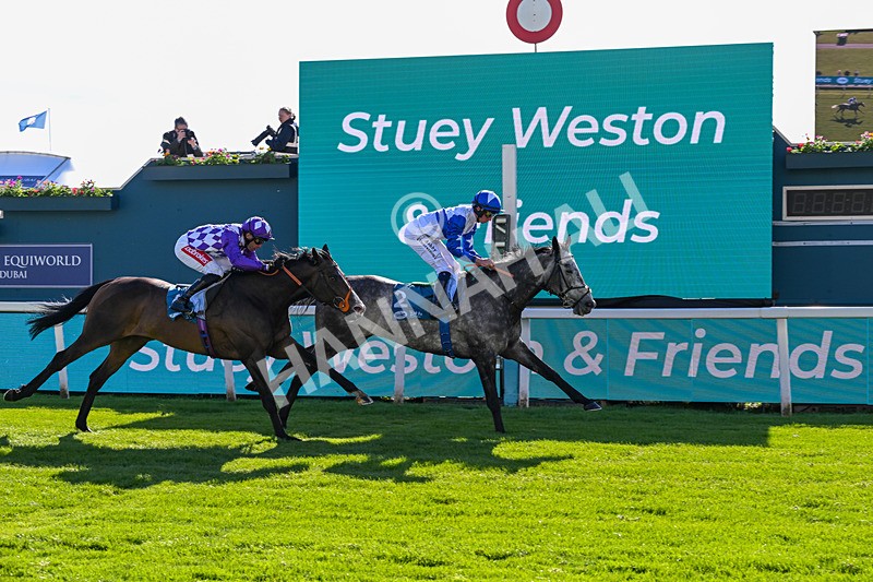 130526-Race 7-Master Builder-3842 - Race 7 5.15pm Stuey Weston & Friends Getting Out Handicap