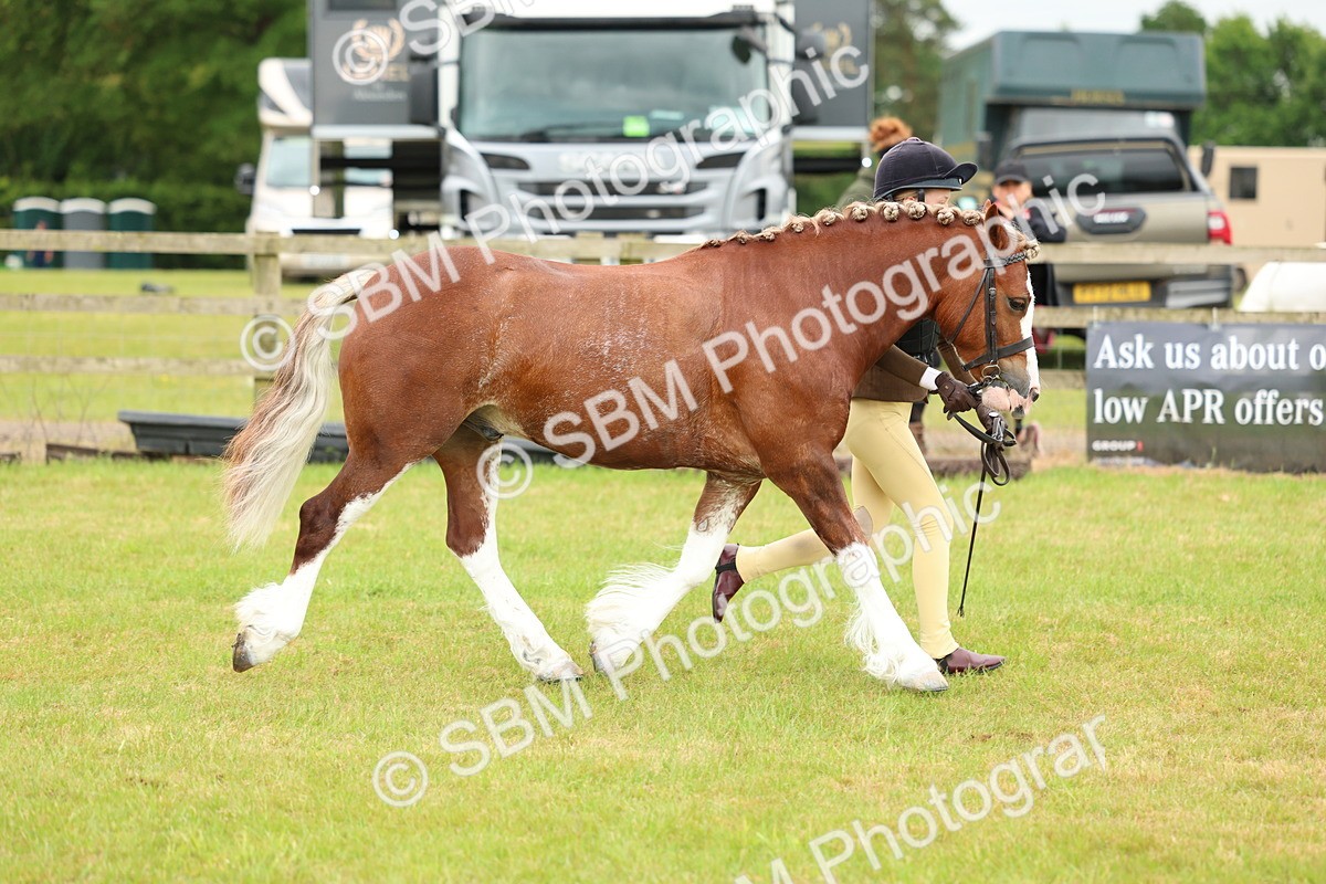 SBM_10371 - Class 44-45 - LIHS BSPS Open Nursery and Cradle Stakes