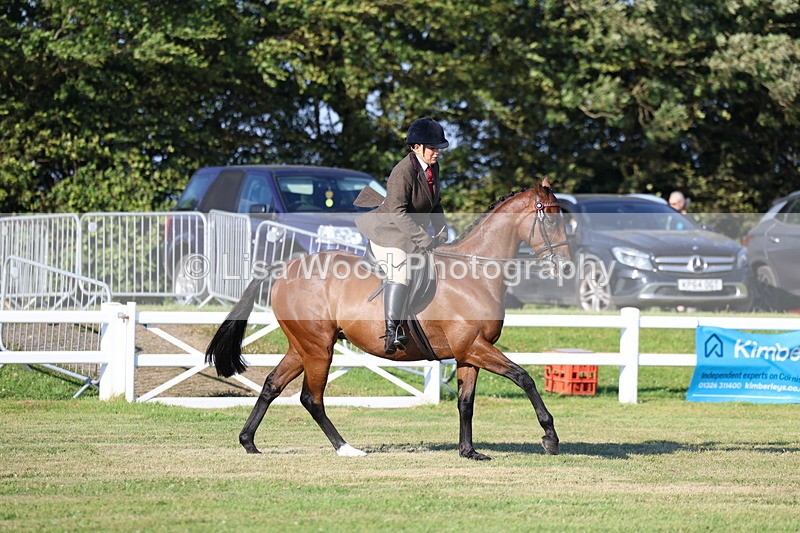 3E7A4969 - Class 1: Rising Star Small Hack/Riding Horses