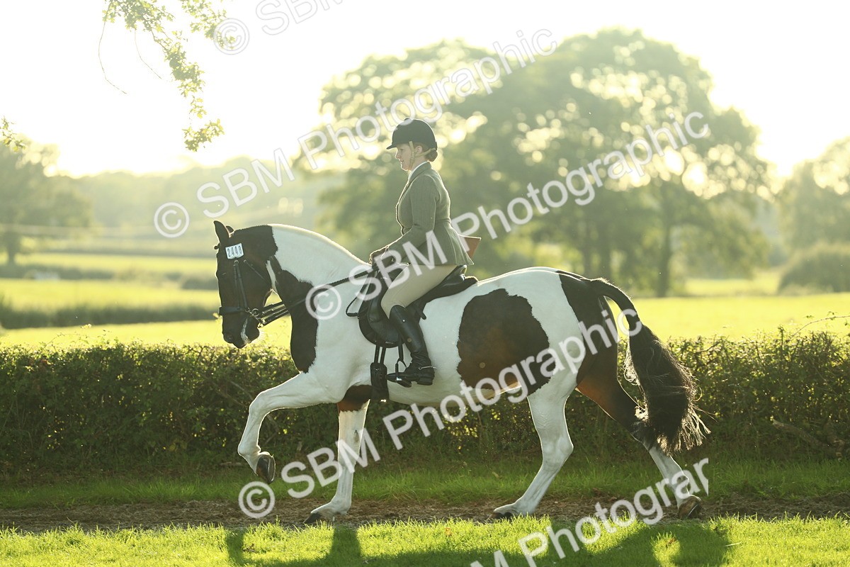 SBM_55535 - S14 - Riding Club Horse