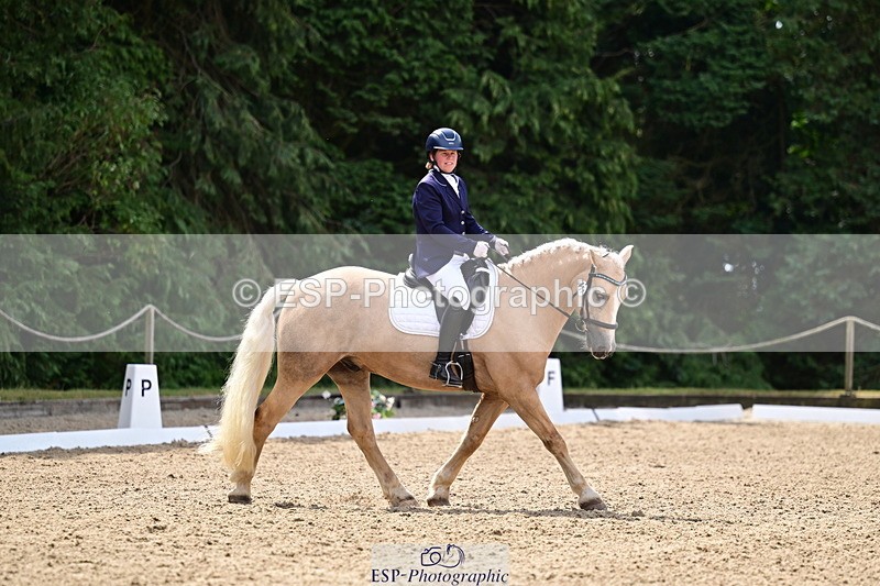260802A-111334-05746 - Novice Silver break - break