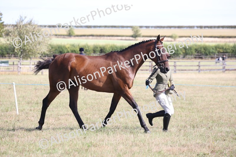 20260906-0744 - Class 22 - Ex Racehorse