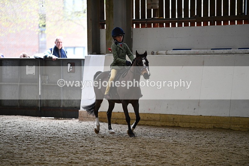 WJ5_6835 - Class 10 Childs Pony