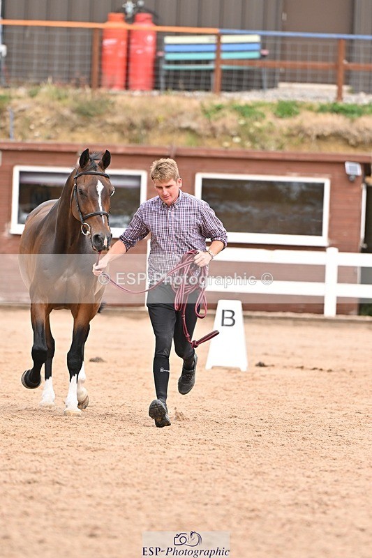 250716-154143-02127 - Trot Up 3.30 to 4.30