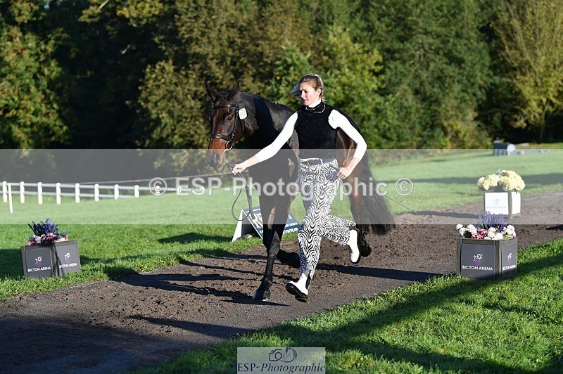 231022-092314-21746 - 645-COOLEY.CORPELLO-Francesca.Swallow-TrotUp+SJ