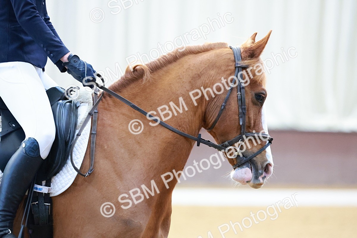 0B8A3515 - Class 1 - P4