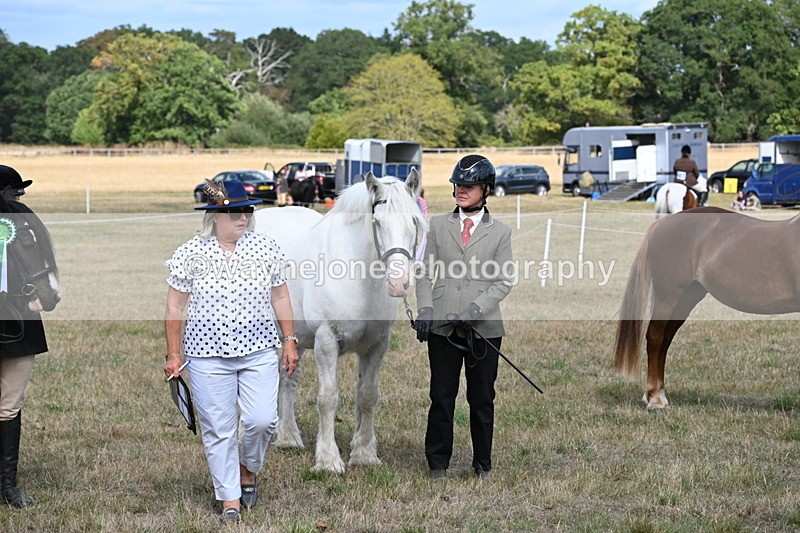 WJ6_6771 - Class 20 In-hand Cob