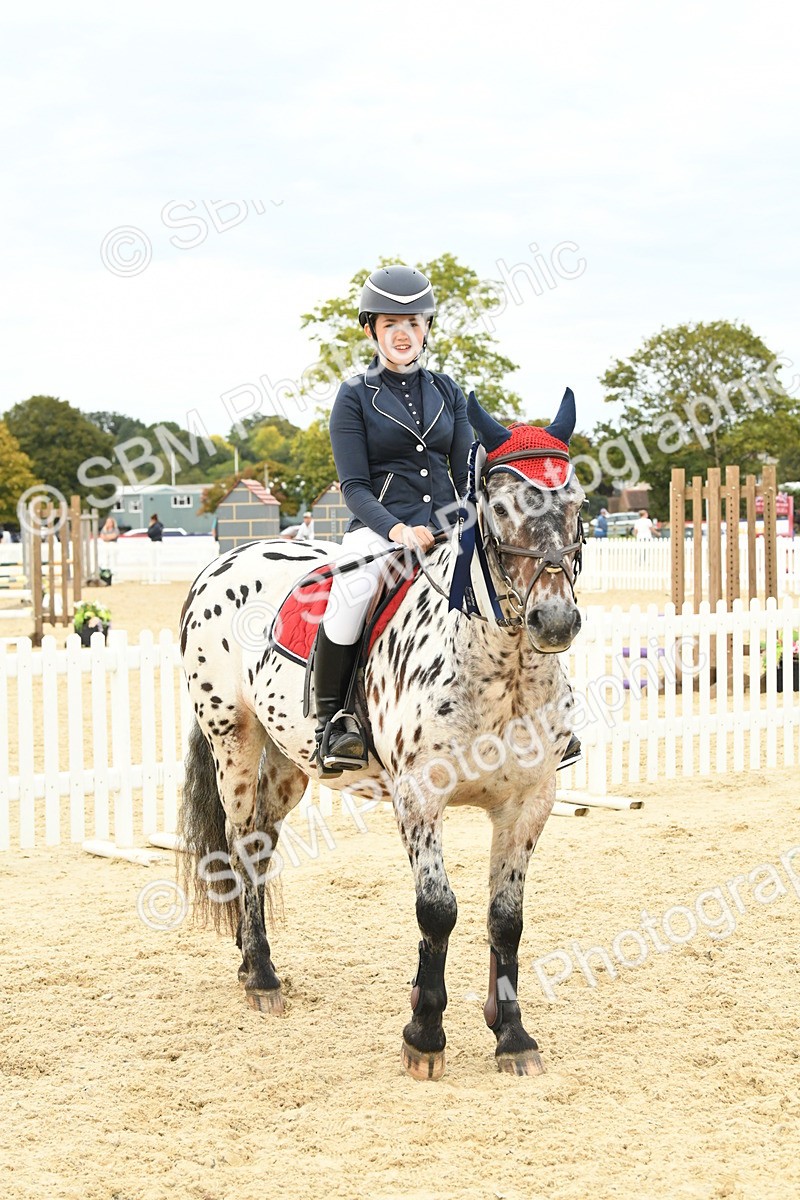 SBM_75838 - Supreme Championship
