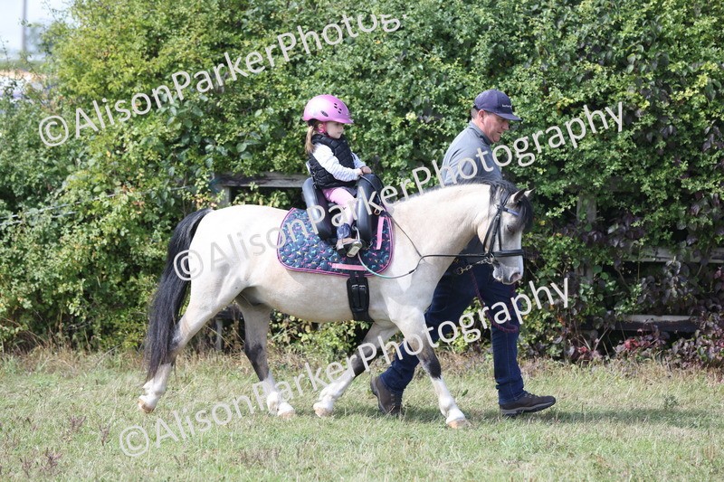 20250831-3284 - Class 24 - Absolute Beginners Pony