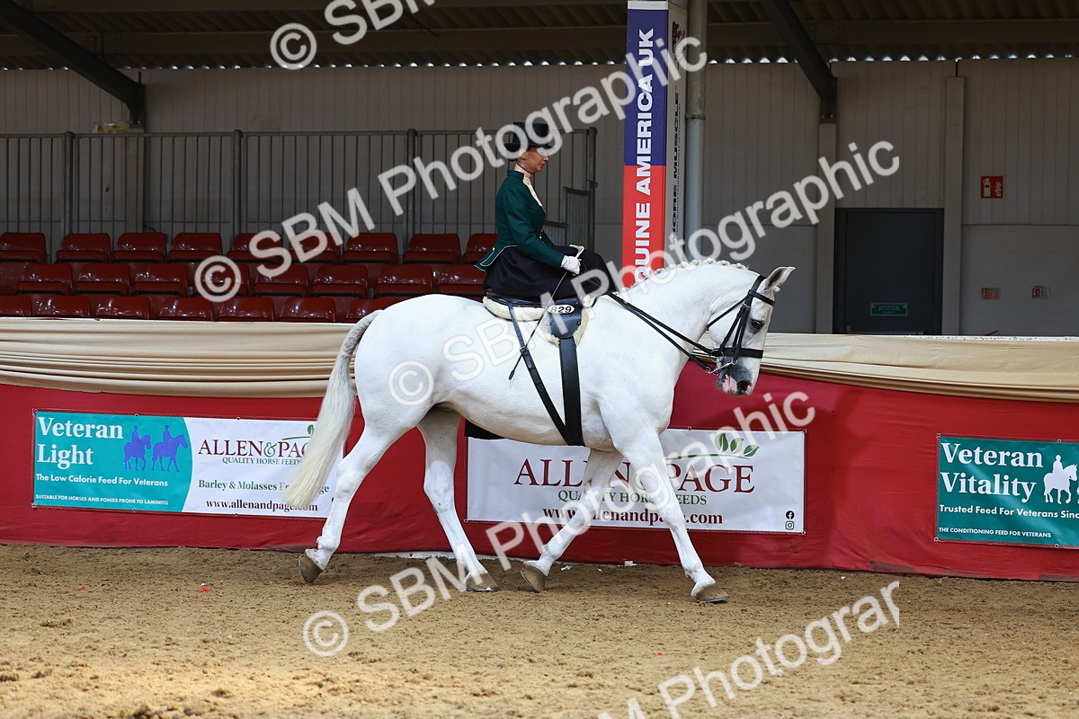 SBM_13869 - Class 106 - Ridden Costume - Side Saddle