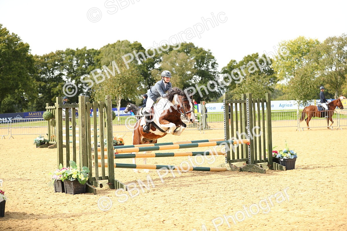 SBM_67127 - J17 - Junior Pony 80cm Championship