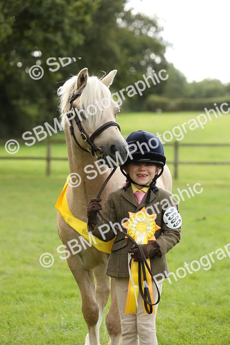 SBM_62851 - S46 - Mountain & Moorland In Hand Small Breeds