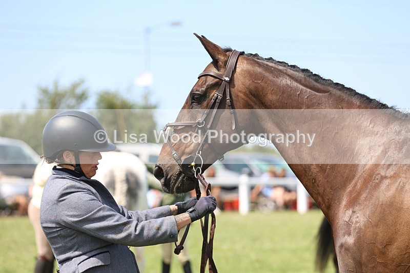 JPP_3389 - Class 22: Working Hunter 70cm