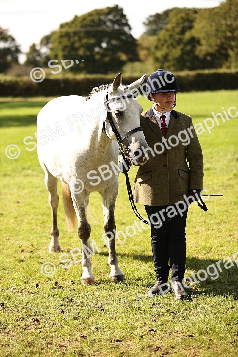 SBM_26178 - S5 - Novice & Newcomers In Hand