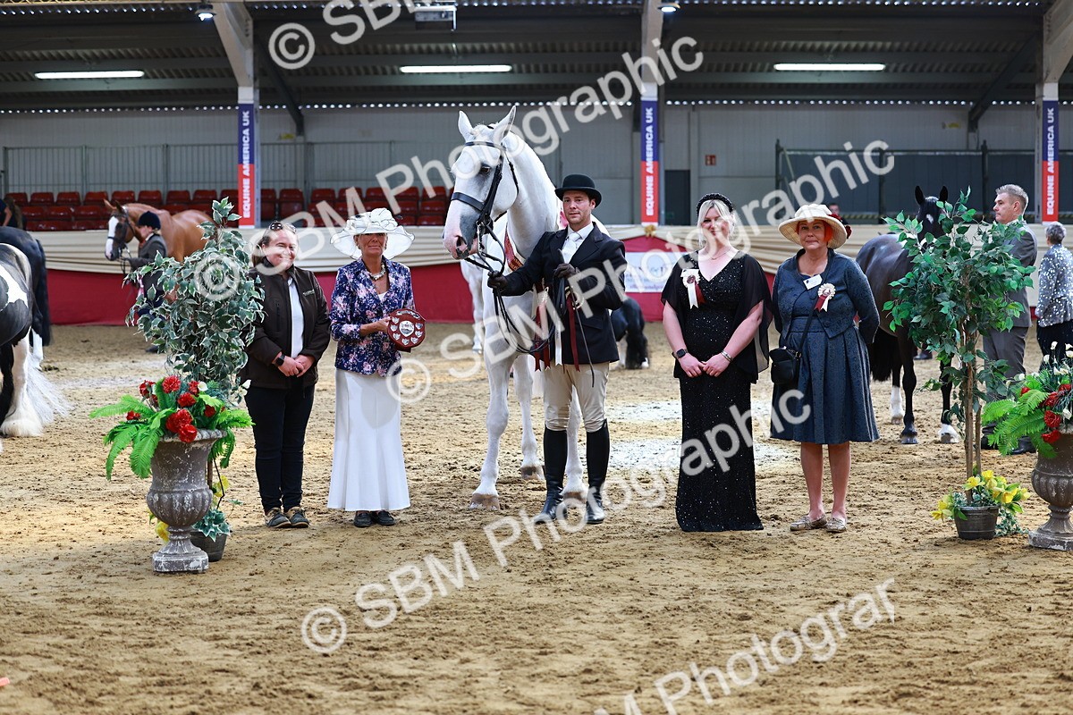 SBM_23284 - Class 903 - Supreme Final - IH Pre Vet