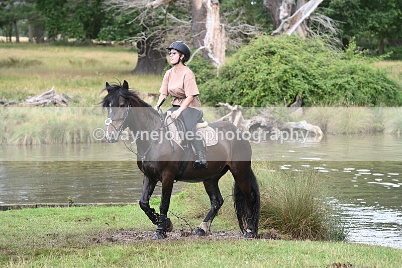 WJ7_4302 - Time at Water 12:52 to 13:22