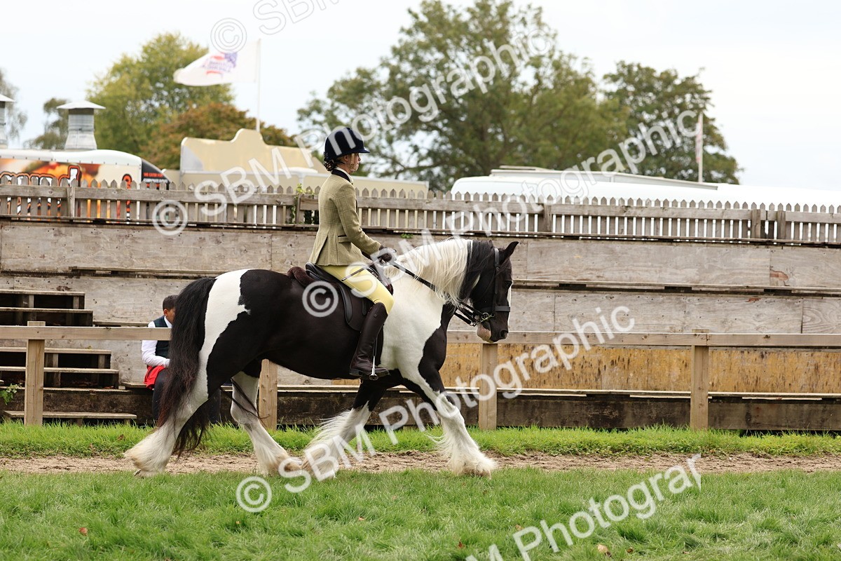 SBM_64420 - S58 - Coloured Pony Ridden