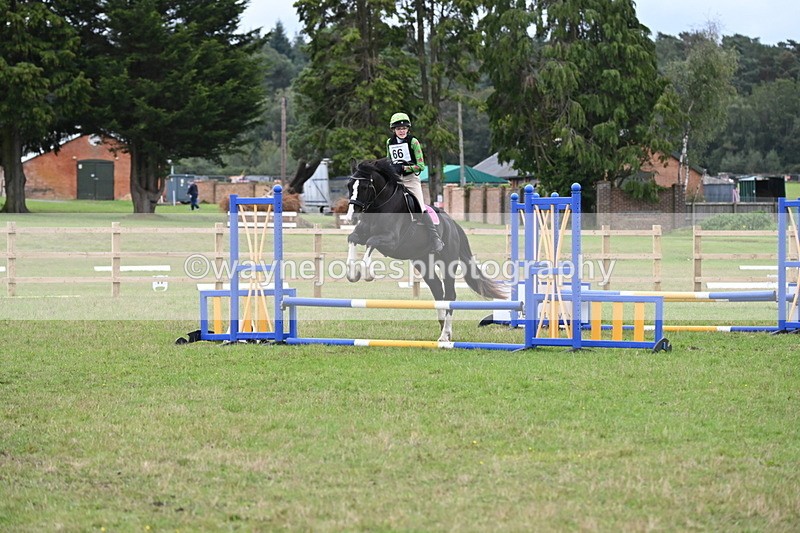 WJ6_1861 - 60cm Time 12:11 to 12:28