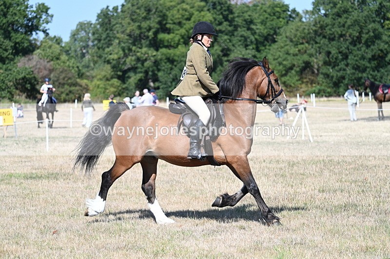 WJ7_3772 - Class 9 Mountain & Moorland Ridden