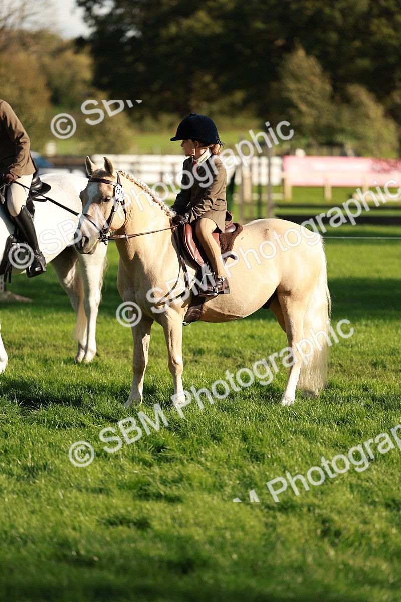 SBM_28742 - S7 - Novice & Newcomer Ridden Pony