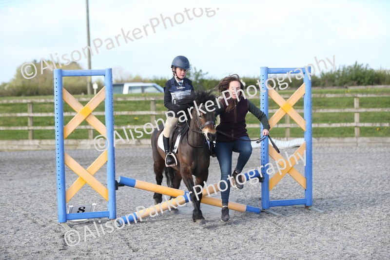 20260412-0056 - Show Jumping