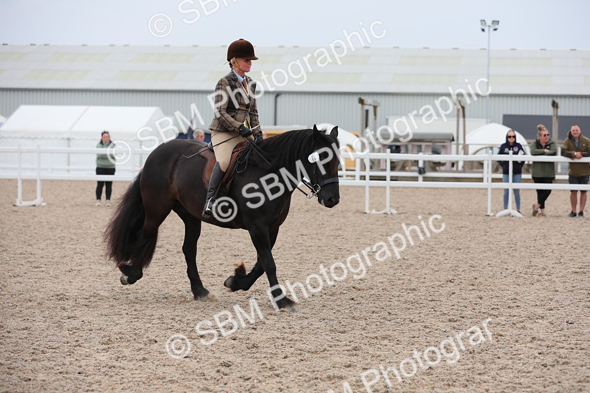 SBM_18084 - Class 316 Best Pony/Rider Combination