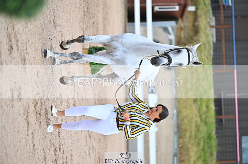 240718A-105324-01968 - Trot Up 2pm to 3pm - This folder is not in time order