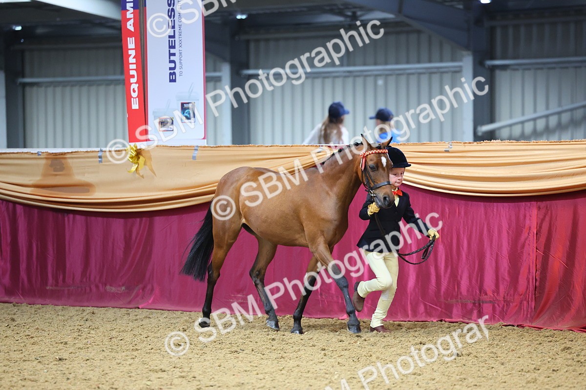 SBM_22630 - Class 903 - Supreme Final - IH Pre Vet