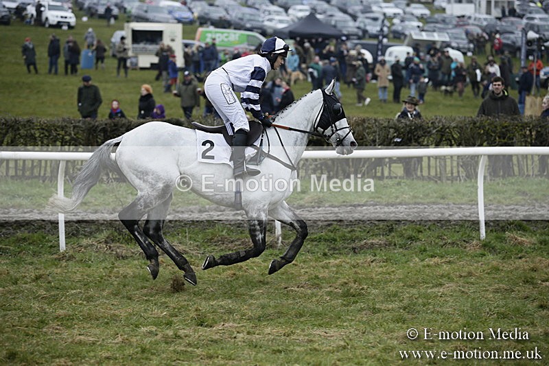 PtP 020418 -19 - Old Berks Point-to-Point Races Easter Monday 02/04/18