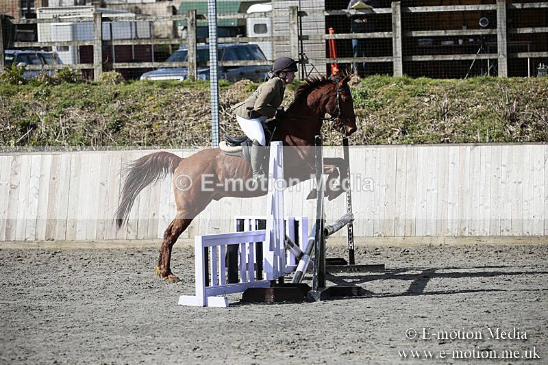 BVRC SJ 170319 218 - Bourne Valley Riding Club Showjumping 17/03/19