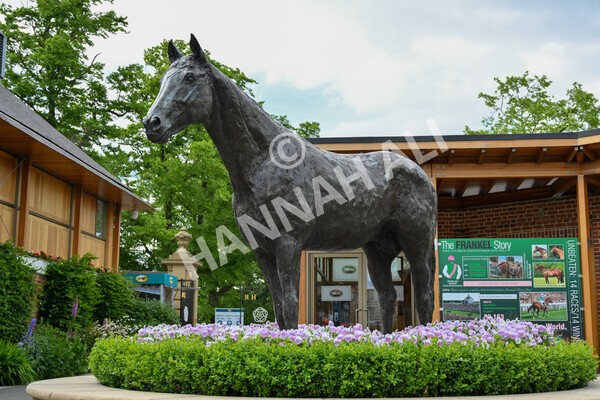 yr11062021r6-1 - Race 6 4.35pm Irish Thoroughbred Marketing Stakes