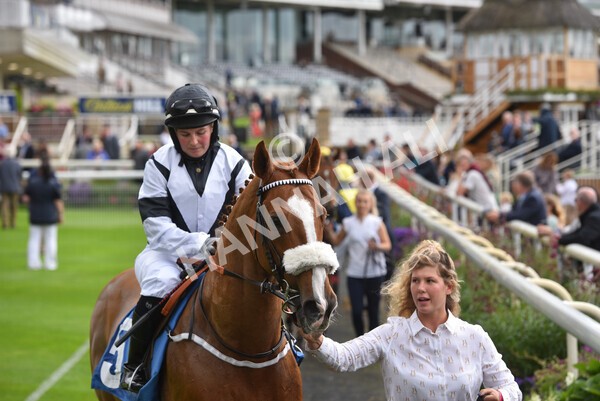 yr24092021r1-59 - Race 1 1.10pm Ernest Cooper Macmillan Ride of Their Lives