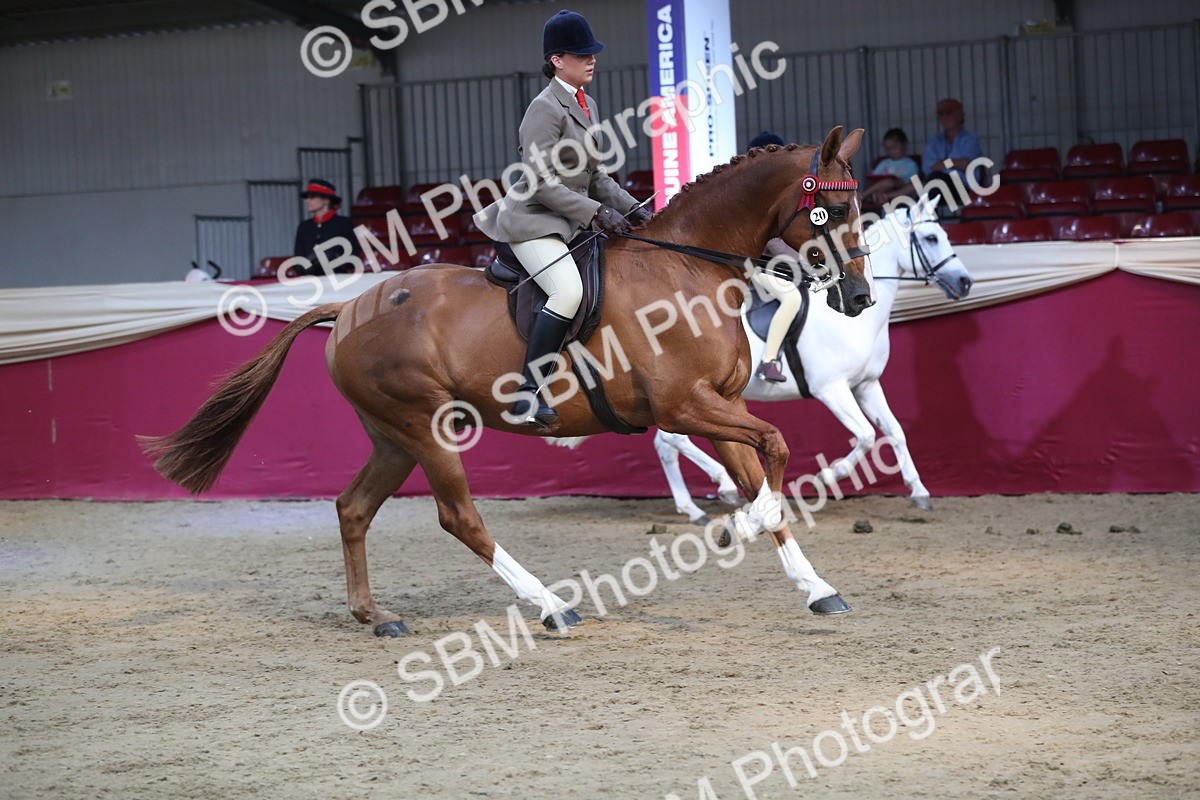 SBM_08312 - Class 11R Regional Ridden Veteran