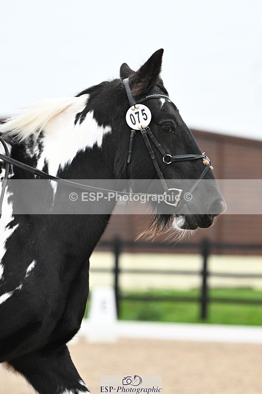 241103-112826-00518 - Intro 3 - 10.50 to 11.44