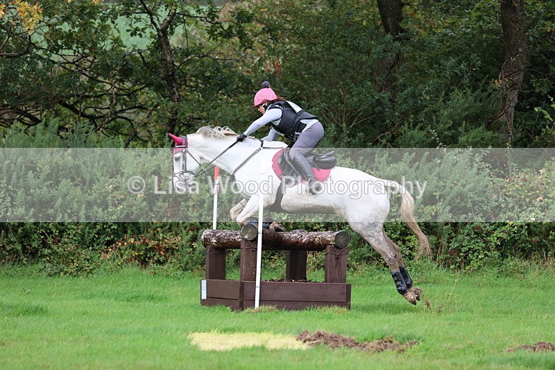 JPP_5501 - Class 6: 90cm +: Crossed Logs